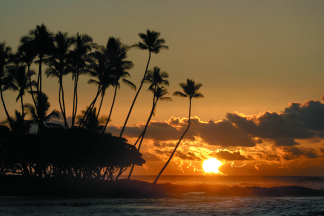 sunset